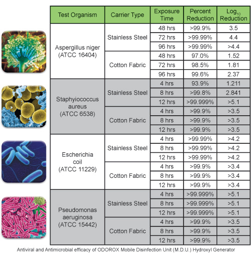 Lab Results